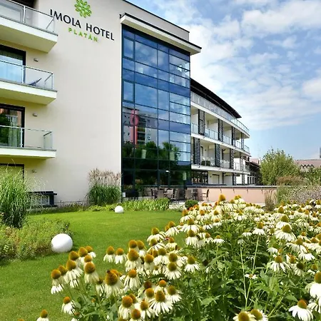 Imola Platan - Adults Only 4*
