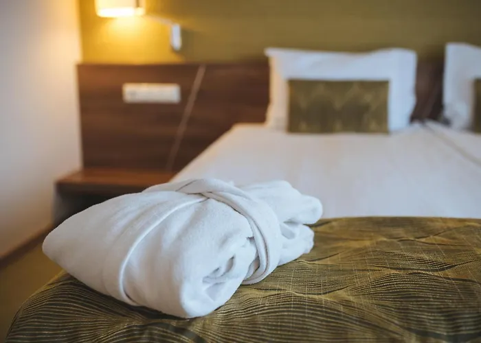 Hotel Imola Platan - Adults Only Eger